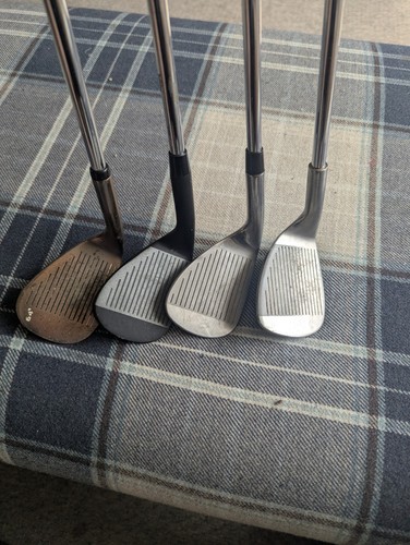 Golden bear bayhill gvg - golden, and