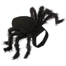 T- Halloween Dogs Cats Spider