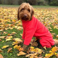 Warm Four Legged Dog Fleece -