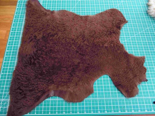 Chestnut brown short curly - short,