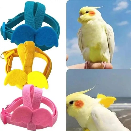 Parrot bird harness leash - bird,