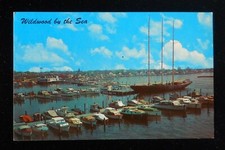 1950s The Wildwood Yacht Basin