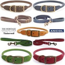 Ancol Dog Collar Leather