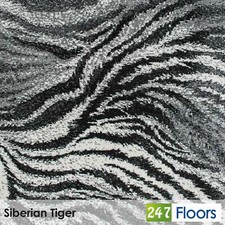 Siberian Tiger T178 Tribes