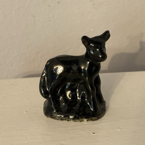 Wade rare aberdeen angus calf - wade,