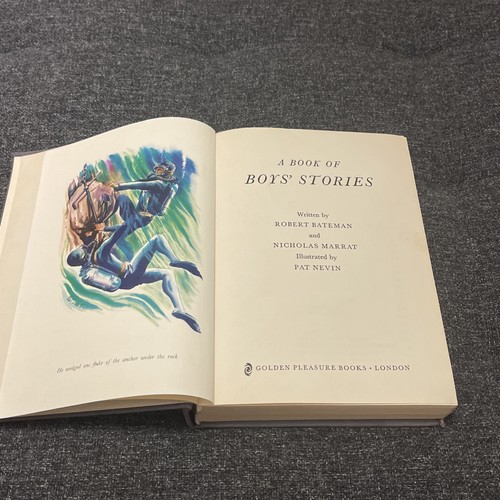 Book boys stories - book,