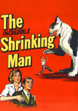 Incredible Shrinking Man