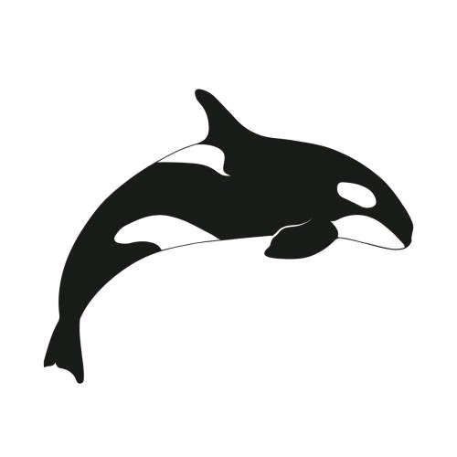 Orca killer whale vinyl - killer,