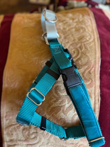 Hounds design freedom - design,