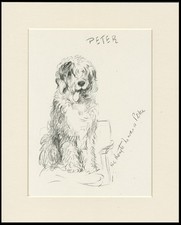 OLD ENGLISH SHEEPDOG VINTAGE