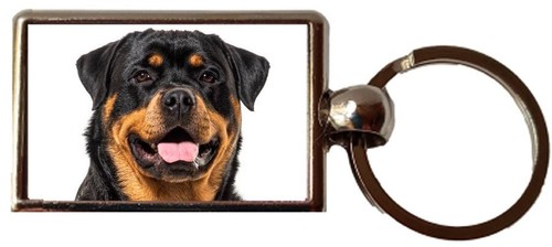 Rottweiler dog pet luxury - dog,