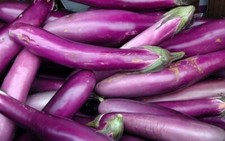 UK:Hybrid Purple Aubergine Eggplant Melanzana Berenjena Tung Lota Begun 20 Seeds