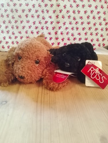 Russ puppy dog - x, 2