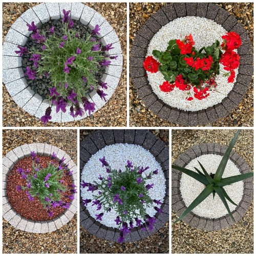 Garden stone circle - circle, grass