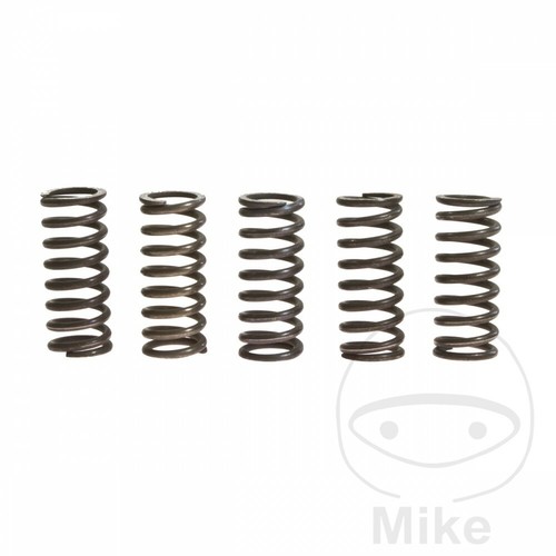 Clutch spring kit - spring, (5