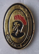 CUMBRIAN WINGS Enamel Pin BADGE MotorCYCLE GOLDWING