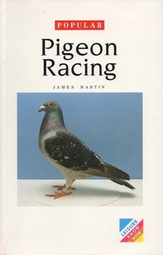 Popular pigeon racing - pigeon,