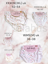 6-12 Pack Ladies Briefs Maxi