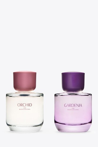 Zara orchid gardenia edp - zara, &