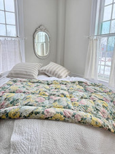 60x37 French eiderdown feather
