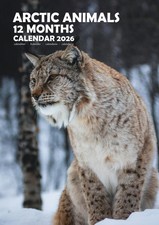 Arctic Animals 2026 Calendars