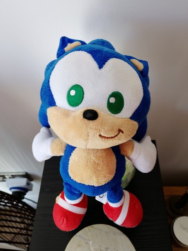 Play sonic the - -,