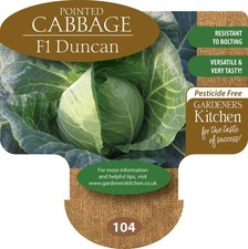 Cabbage Plants Pointed 'F1