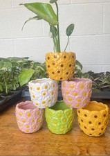 6cm daisy flower plant pots - 6cm,