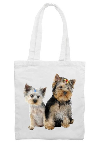 Yorkshire terrier puppies - terrier,