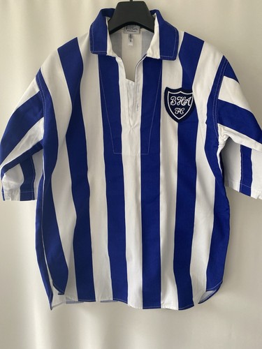 Brighton and hove - albion, home