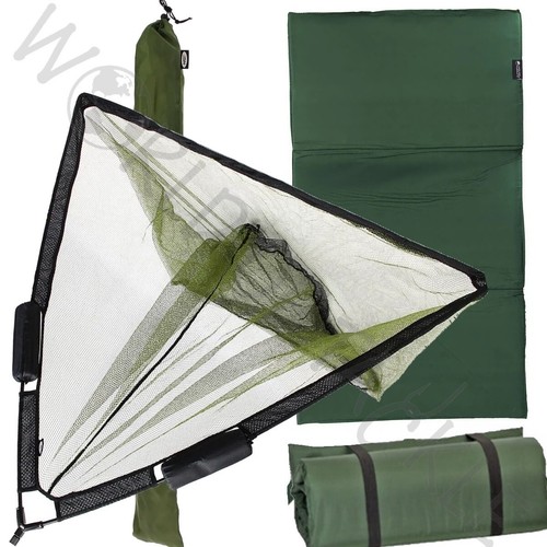 Carp coarse fishing unhooking - fishing,