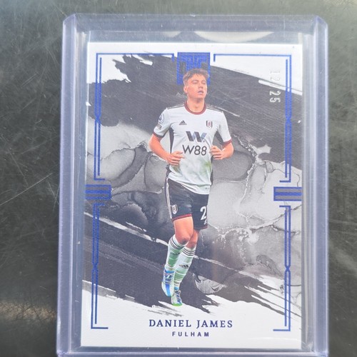 Panini impeccable premier - panini,