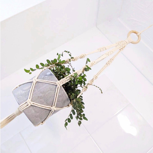 Macramé cotton plant hanger - plant,
