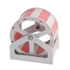  Chinchilla Wheel Exercise for