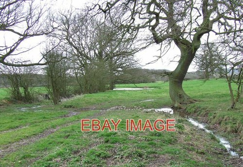 Photo meadows grazing - meadows,