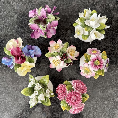 Royal albert flower - royal, the