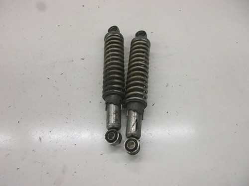 Suzuki 250 ram air - 250,