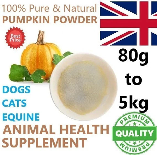 Pumpkin powder 50g - pumpkin,