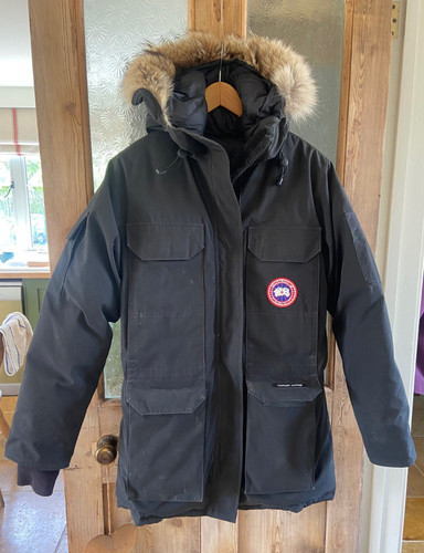 Canada goose arctic program - arctic,