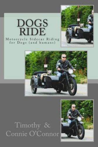 Dogs ride motorcycle - dogs, sidecar