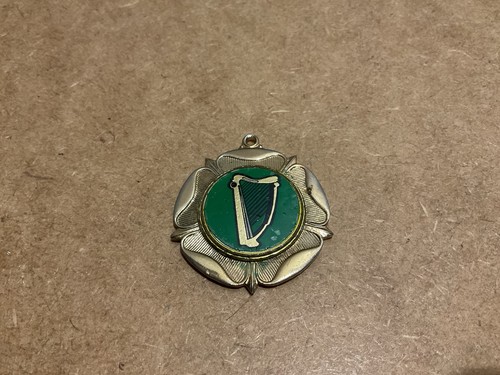 Harp irish themed medal - harp,