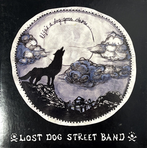 Lost dog street - street,