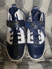 Nike LeBron Zoom , White &