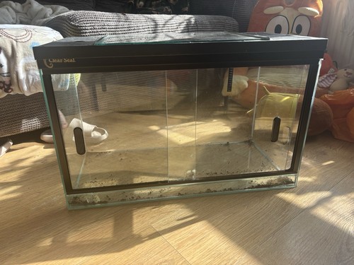 Clear seal reptile - seal, vivarium