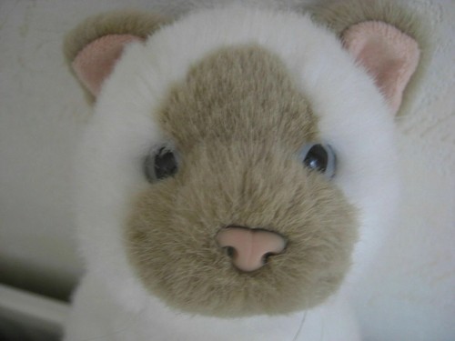 Siamese soft cuddly - 12",