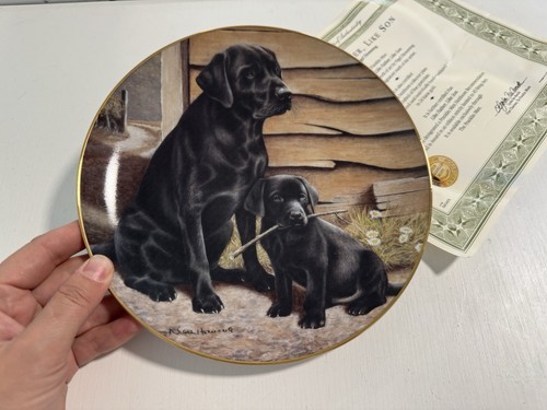 Franklin mint like father - franklin,