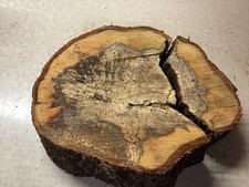 BLACKTHORN WOOD BLANK