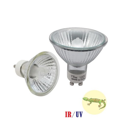 Pack reptile light - pack,