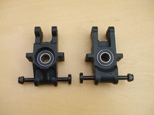 Corally Asuga / Radix etc Rear