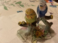 Royal Adderley Budgerigars